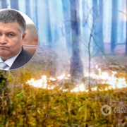 Аваков розлютився через підпали в Україні і пригрозив винним