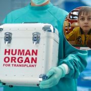 “Нас відправили вмирати?” В Індії тяжкохворі діти з України потрапили в пастку через пересадку органів
