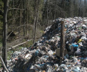 На Франківщині намагалися незаконно скинути львівське сміття