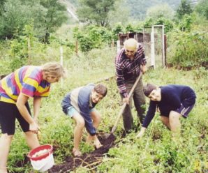 В Україні за допомогу у висаджені городів штрафує на 17 тис грн