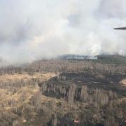 У Чорнобильській зоні спалахнула масштабна пожежа: в небо підняли літаки