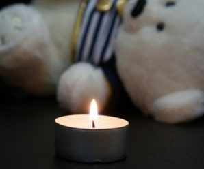 На Прикарпатті 4 річна дитина загинула під колесами мотоблоку
