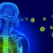 Вірусологи шоковані: з’явилися дані, як саме коронавірус захоплює тіло людини