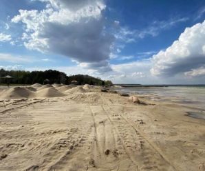 Масово засохне ліс і зникнуть малі річки: екологи забили на сполох через аномалії в Україні