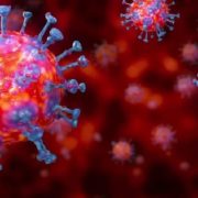 Вчені виявили вірус-родич COVID-19