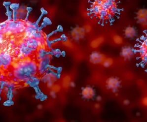 Вчені виявили вірус-родич COVID-19