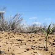 Україна чекає посуха, а частину Європи – повені: опублікований масштабний прогноз погоди на літо