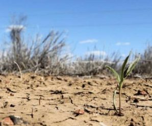Україна чекає посуха, а частину Європи – повені: опублікований масштабний прогноз погоди на літо
