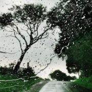 На Прикарпатті прогнозують сильні дощі та вітер