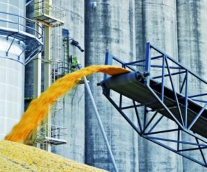 Розкрадання 150 тисяч тонн зерна: у МВС пояснили, чому раніше не перевіряли Держрезерв