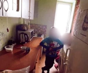 11-річний прикарпатець викликав поліцію, бо мама не годувала його та сестру (ФОТО)