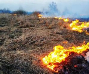 Прикарпатські рятувальники показали список штрафів за підпал трави