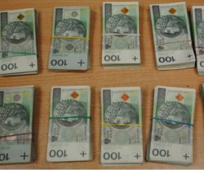 Українець намагався потайки провезти до Польщі велику суму грошей у пакеті