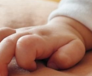Крик немовляти чули всі дачники: мати, яка в Тернополі народила серед кущів, покинула вже третю дитину (ВІДЕО)