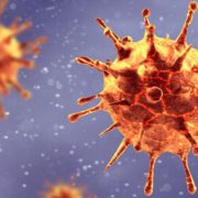 Вчені виявили новий штам коронавірусу – заразніший від звичайного в 10 разів