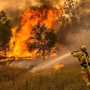 Через лісову пожежу в Іспанії евакуювали понад дві сотні осіб