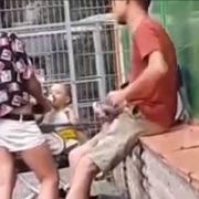 Горе-мати напоїла 1-річного сина алкоголем, щоб подивитися, що буде (відео)
