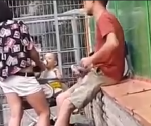 Горе-мати напоїла 1-річного сина алкоголем, щоб подивитися, що буде (відео)