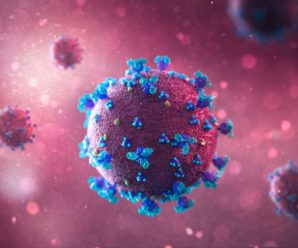 Дослідники знайшли справжній шлях проникнення коронавірусу в організм