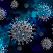 Учені визнали популярний делікатес рознощиком коронавірусу