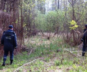 На Прикарпатті в лісі  знайшли тіло  жінки