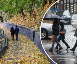 Захід України накриють потужні зливи на вихідних