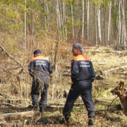 На Прикарпатті п’ятий день шукають 80-річного чоловіка, який пішов у ліс