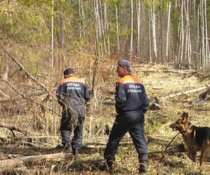 На Прикарпатті п’ятий день шукають 80-річного чоловіка, який пішов у ліс