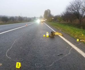Смертельна аварія на Коломийщині: автомобіль збив жінку (фото)