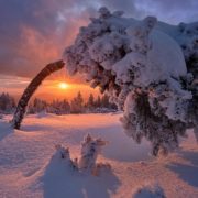 Всю Україну засипле снігом: Укргідрометцентр дав прогноз на грудень