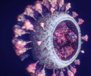 Світом шириться новий штам коронавірусу: його легше підчепити, але це менш небезпечно