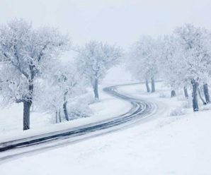 Чи буде в Україні сніг на Новий рік: народний синоптик дав прогноз