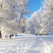 В Україну суне негода: останні дні листопада будуть сніжними та холодними