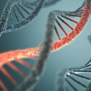 Чи може вакцина від COVID-19 змінити людську ДНК? Пояснюють науковці