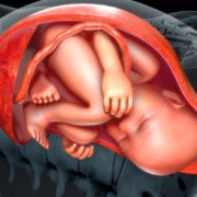 В плаценті вагітних жінок знайшли мікропластик. Дослідження