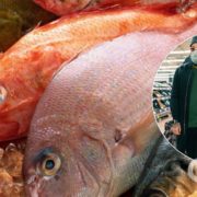 Прострочену рибу продають в кожному українському магазині – Союз споживачів
