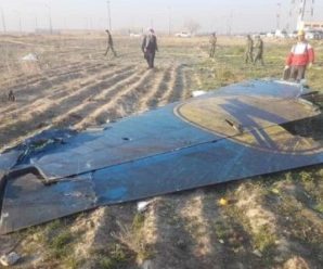 Іран назвав остаточну причину катастрофи літака МАУ