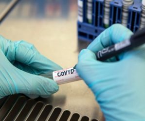 Куди зникає коронавірус: лікарі розповіли, чому так різко зменшується кількість інфікованих