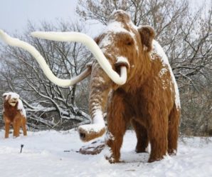 З 19 грудня у Франківську запрацює парк льодовикового періоду (відео)