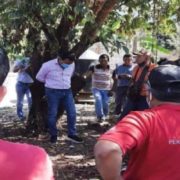 У Мексиці мера міста прив’язали до дерева за невиконання передвиборчих обіцянок