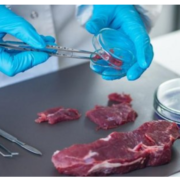 На Прикарпатті перевіряли м’ясо: виявили численні випадки захворювань