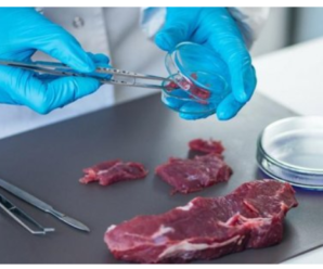 На Прикарпатті перевіряли м’ясо: виявили численні випадки захворювань
