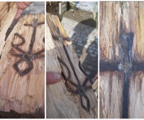 На Франківщині чоловік знайшов тризуб з хрестом в деревині (фото)