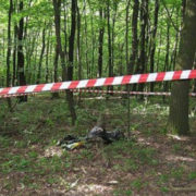 У лісі на Прикарпатті знайшли тіло людини