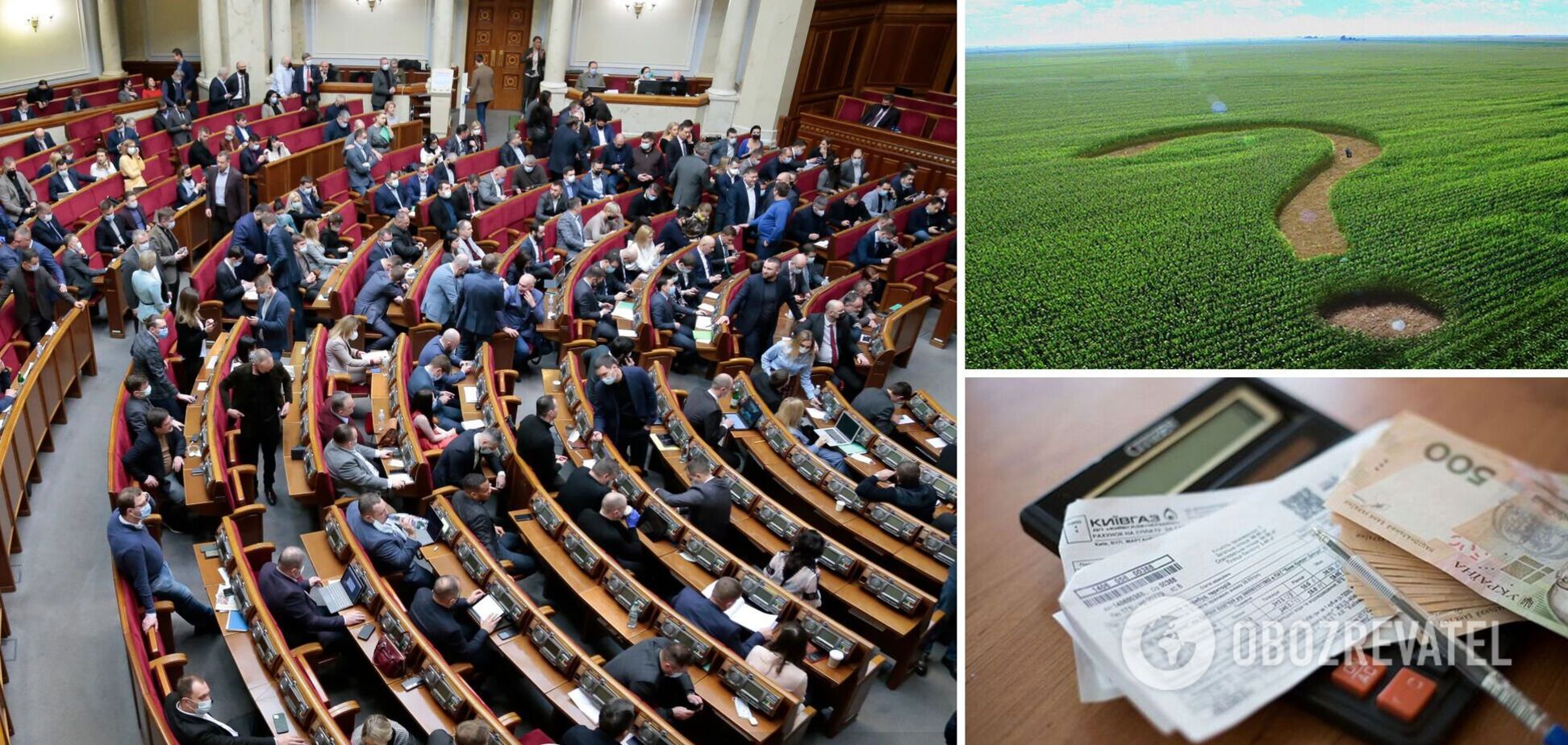 Українці можуть безкоштовно отримати гектари землі: що насправді змінив Кабмін