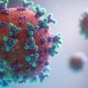 Вчені розповіли, як змінився коронавірус