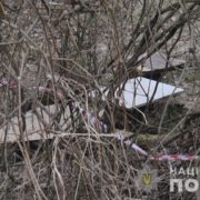 У парку знайшли розчленоване тіло жінки (фото, відео)