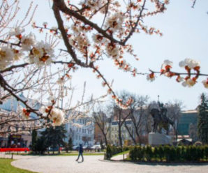 На українців чекають заморозки перед Великоднем: коли потеплішає