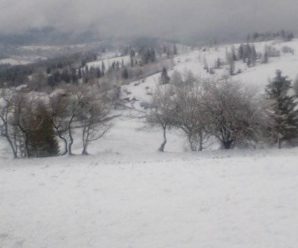Шостий місяць зими: на Франківщині випав сніг (ФОТО)