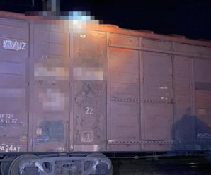 На вагоні потяга знайшли обгоріле тіло 18-річного хлопця (ФОТО)